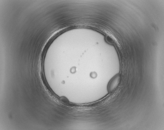 X0000116150984200912211505