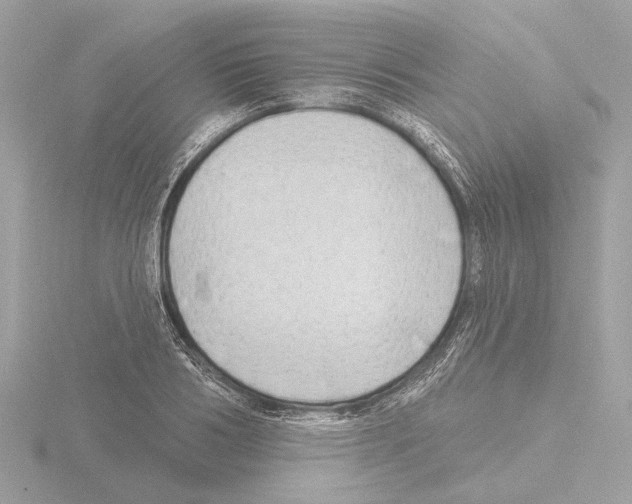 X0000116150986200912211505