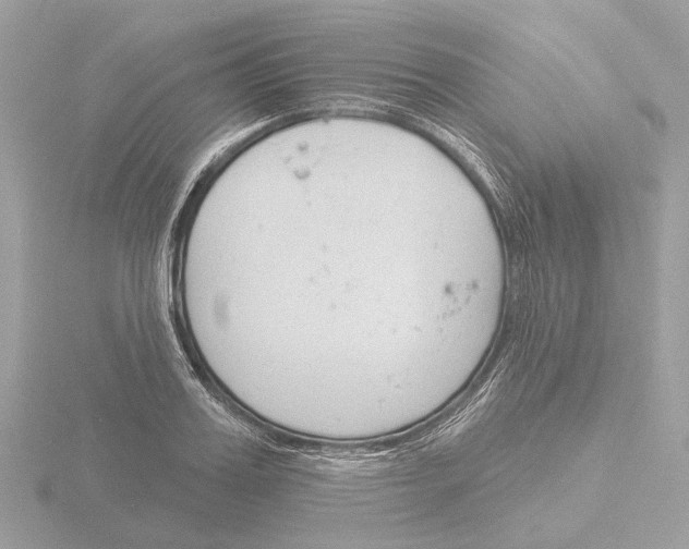 X0000116150987200912211505