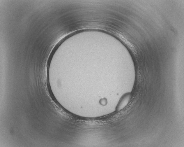 X0000116150988200912211505