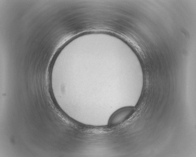 X0000116150990200912211505