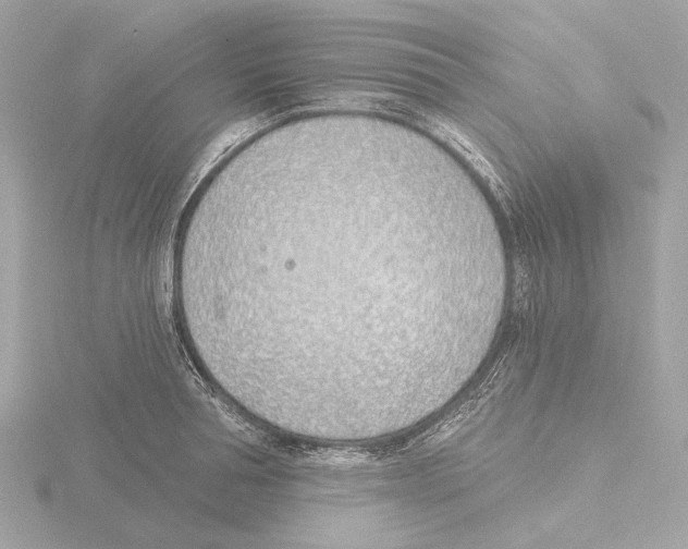 X0000116150994200912211505