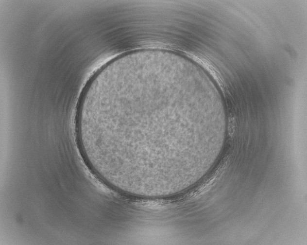 X0000116150995200912211505