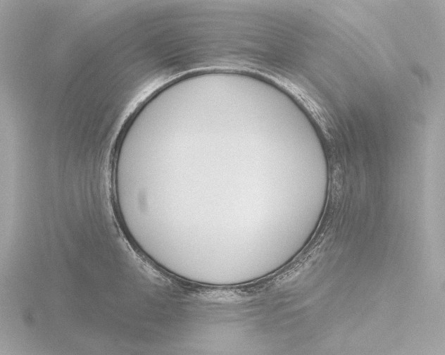 X0000116150998200912211505