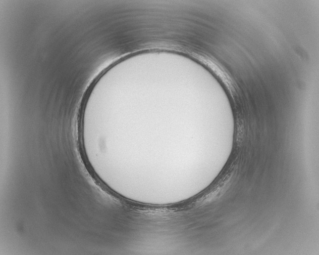 X0000116150999200912211505