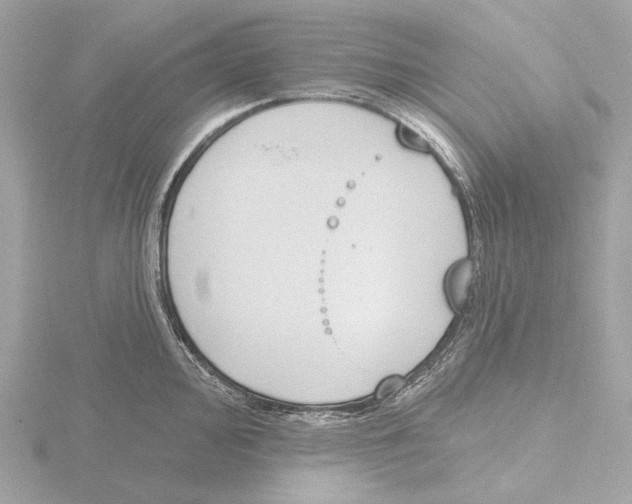 X0000116151000200912211505