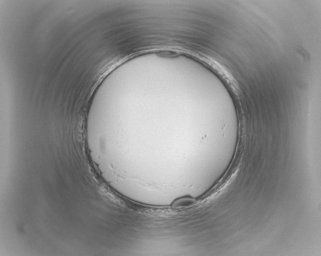 X0000116151001200912211505