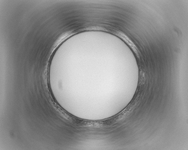 X0000116151002200912211505