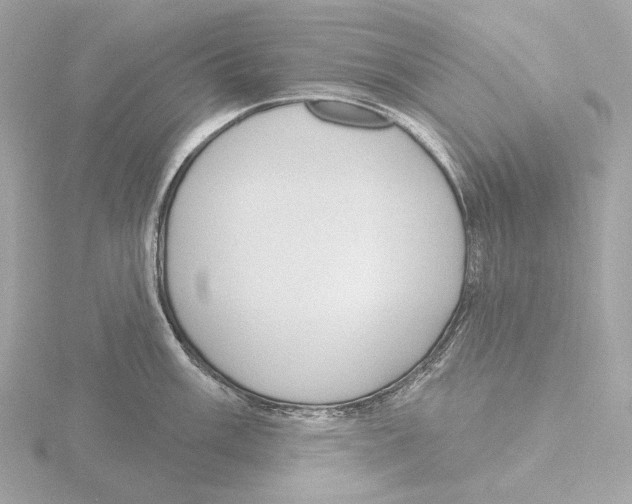 X0000116151003200912211505