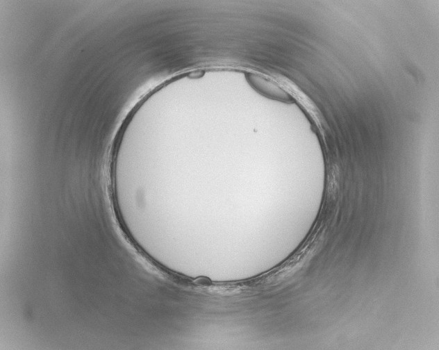 X0000116151005200912211505