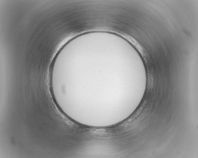 X0000116151006200912211505