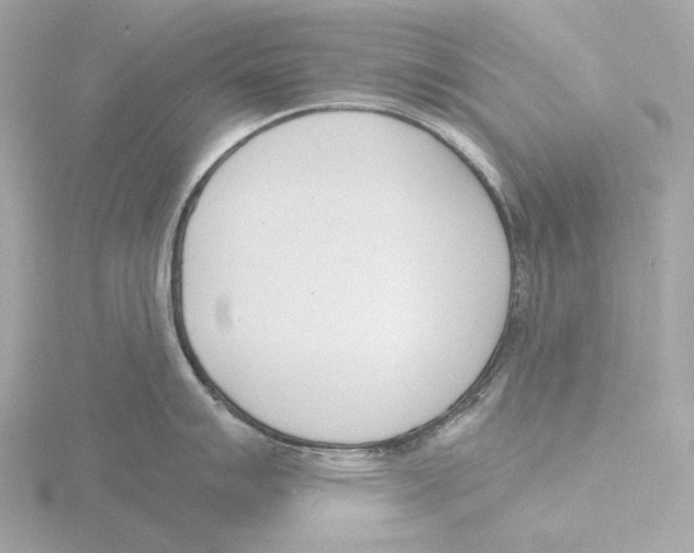 X0000116151007200912211505