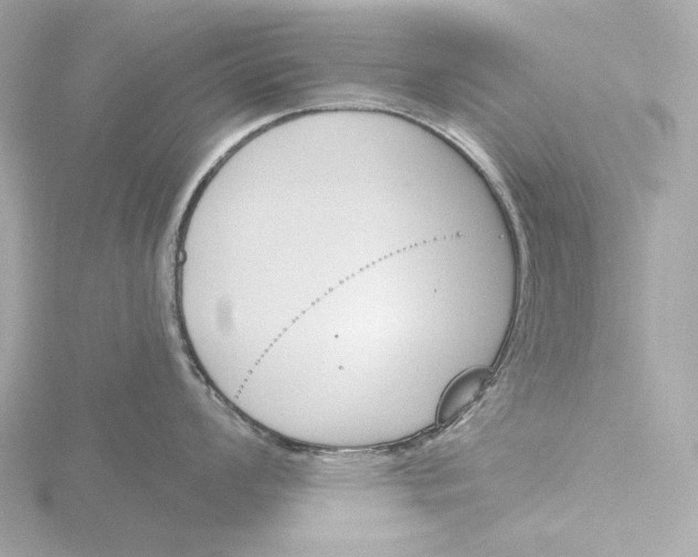 X0000116151008200912211505