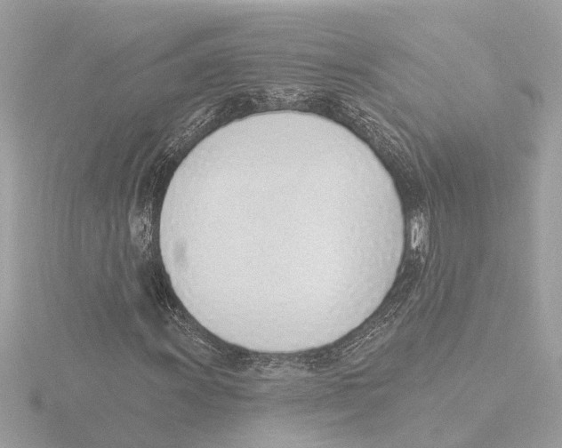 X0000116151011200912211504