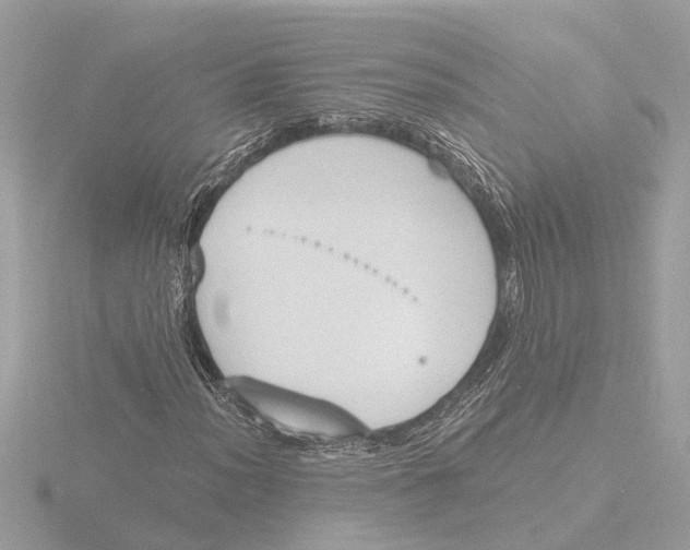 X0000116151012200912211504