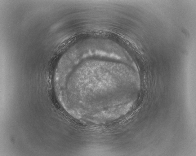 X0000116151013200912211504