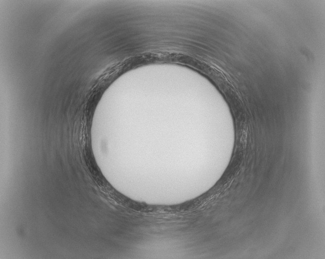 X0000116151014200912211504