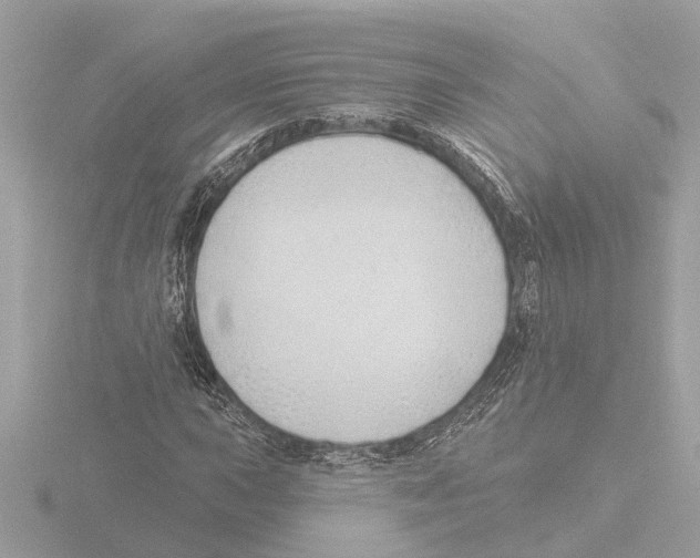 X0000116151015200912211504