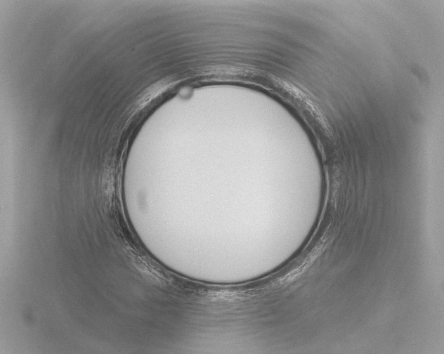 X0000116151017200912211504