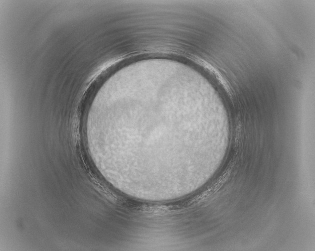 X0000116151019200912211504