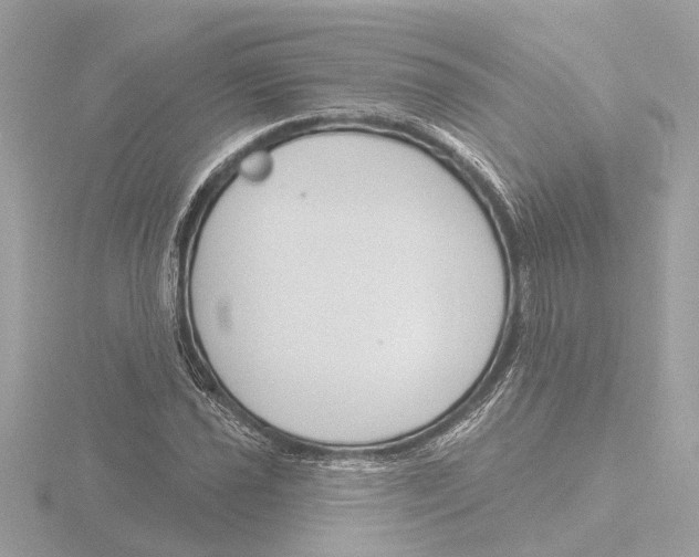 X0000116151021200912211504