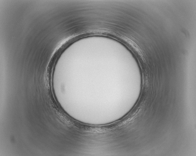 X0000116151022200912211504