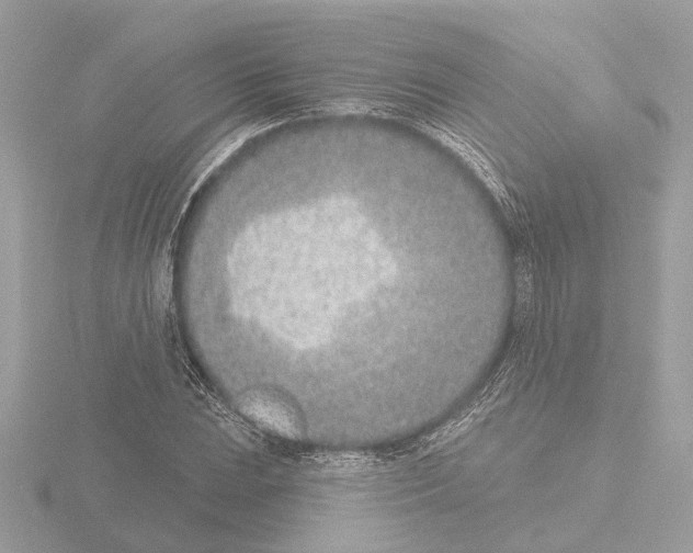 X0000116151023200912211504