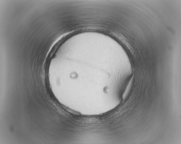 X0000116151024200912211504