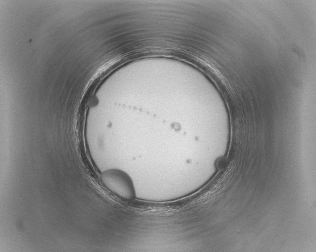 X0000116151026200912211505