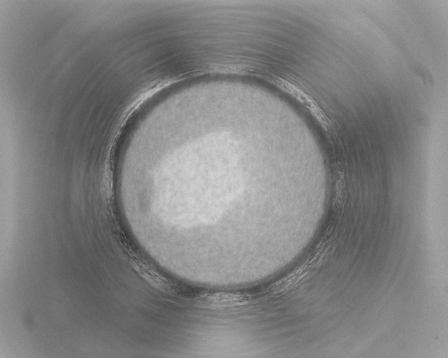 X0000116151027200912211505