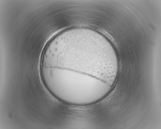 X0000116151028200912211505