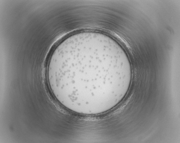 X0000116151029200912211505