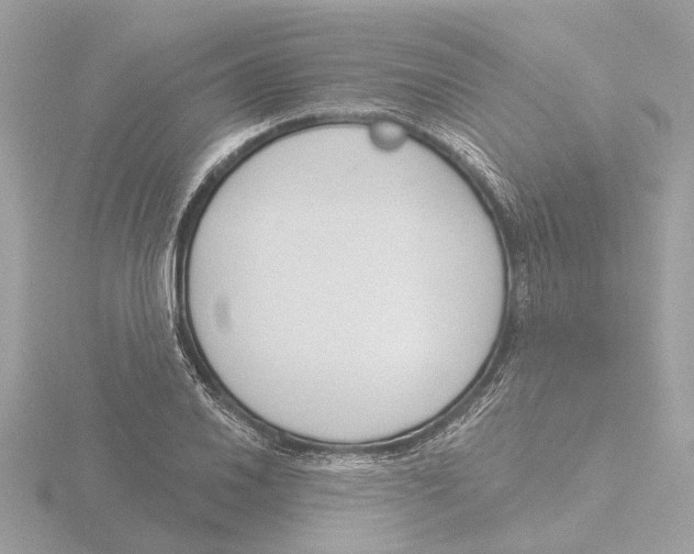 X0000116151030200912211505