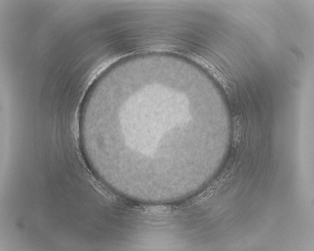 X0000116151031200912211505