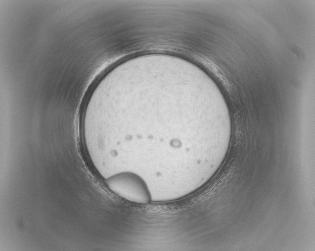 X0000116151032200912211505