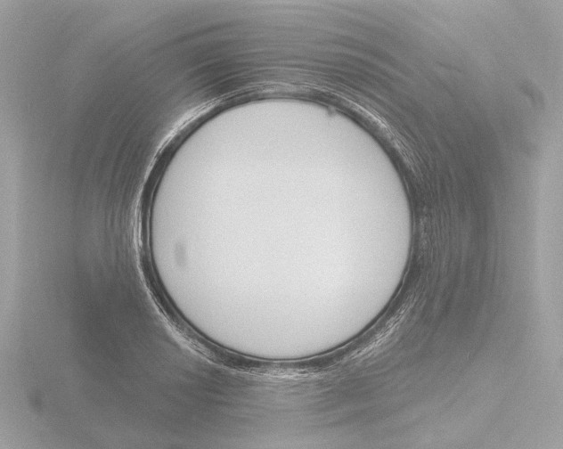 X0000116151034200912211505