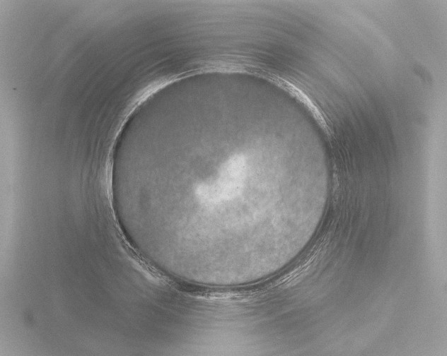 X0000116151035200912211505