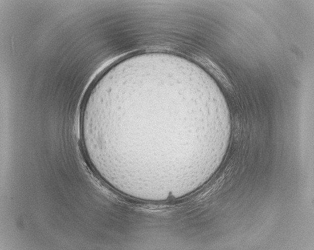 X0000116151036200912211505