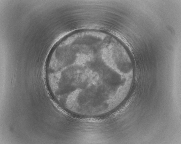 X0000116151037200912211505