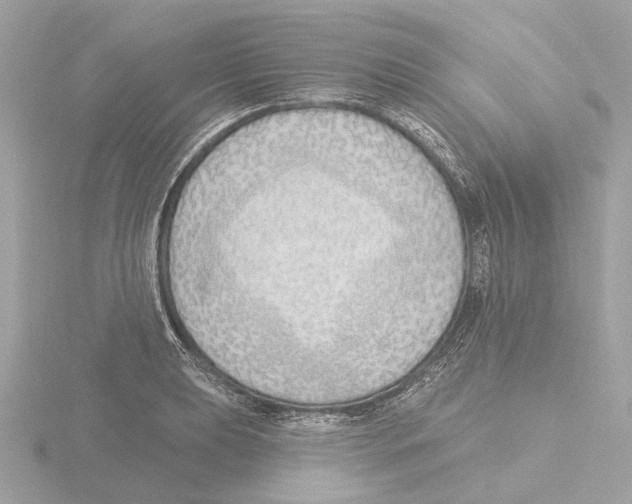 X0000116151039200912211505