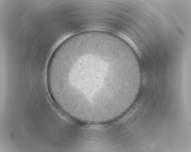 X0000116151043200912211505