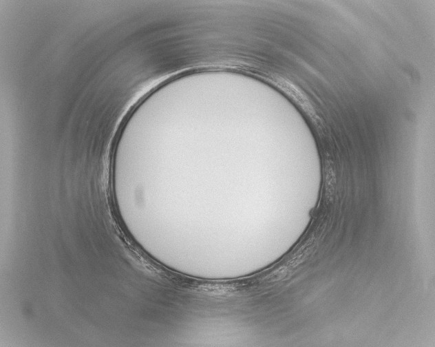 X0000116151044200912211505