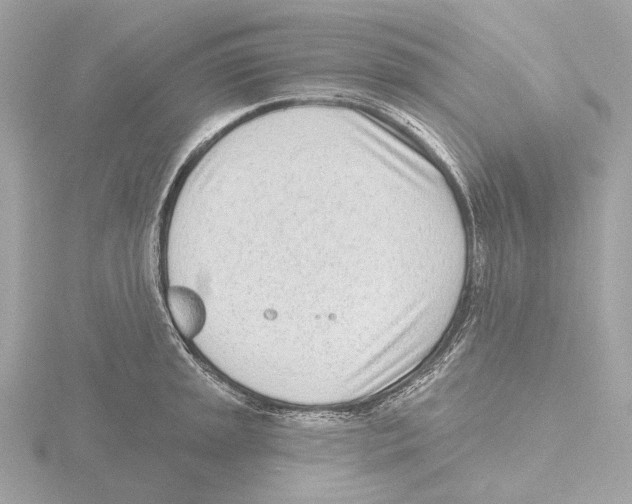 X0000116151045200912211505