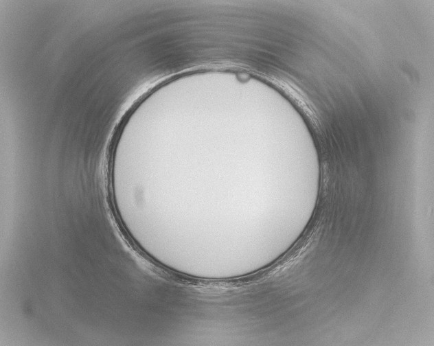 X0000116151046200912211505