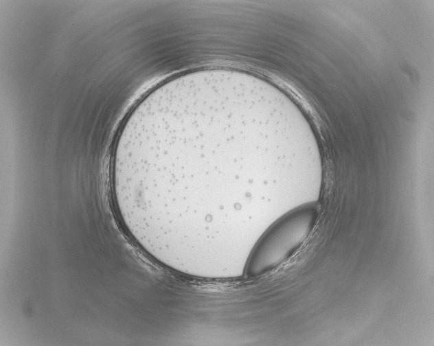 X0000116151048200912211505