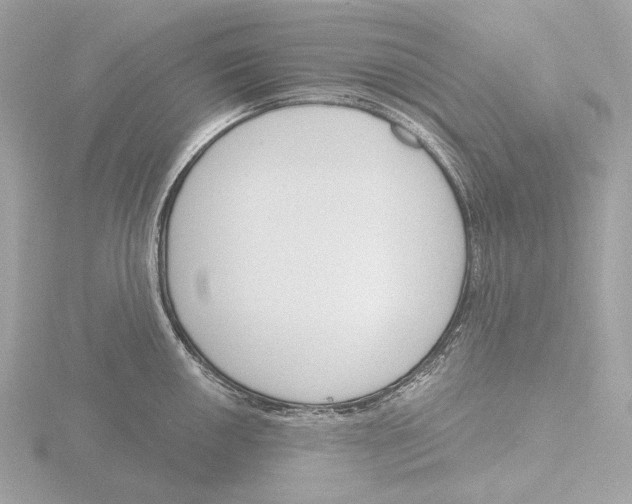 X0000116151050200912211505