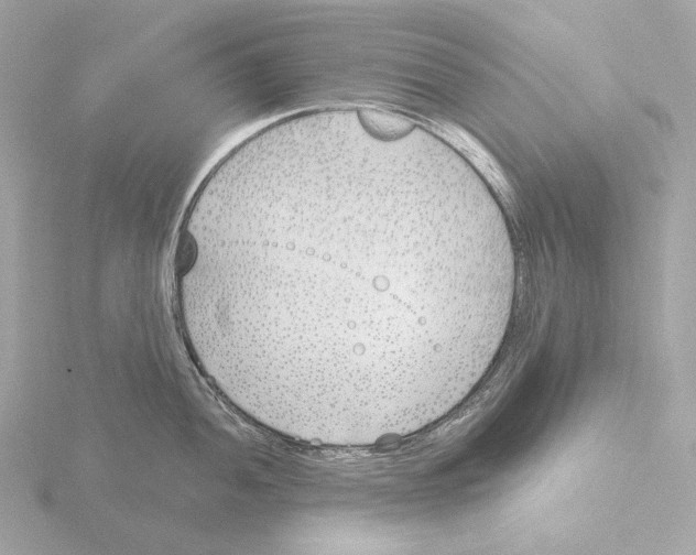 X0000116151052200912211505