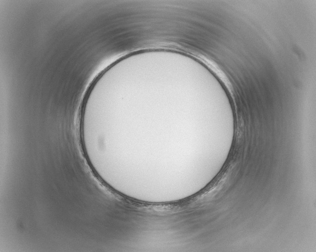 X0000116151053200912211505