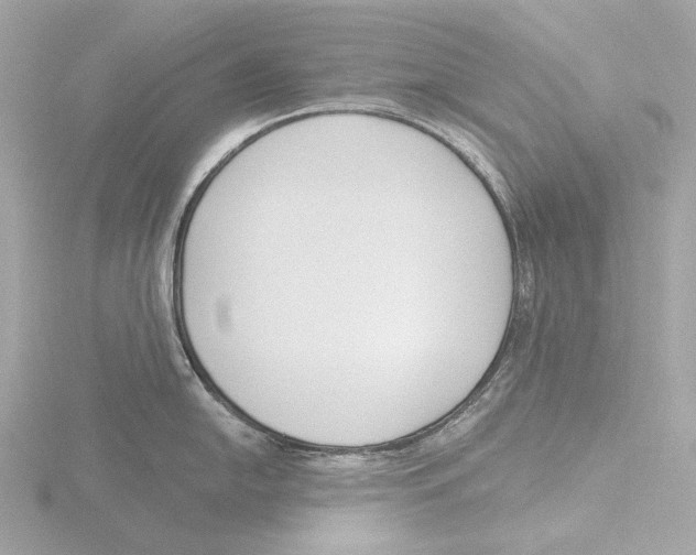 X0000116151054200912211505