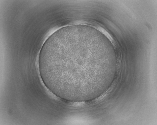 X0000116151055200912211505